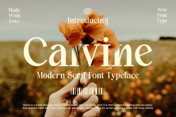 Calvine Font - Featured Image