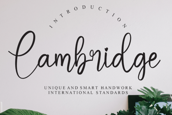 Cambridge Font - Featured Image