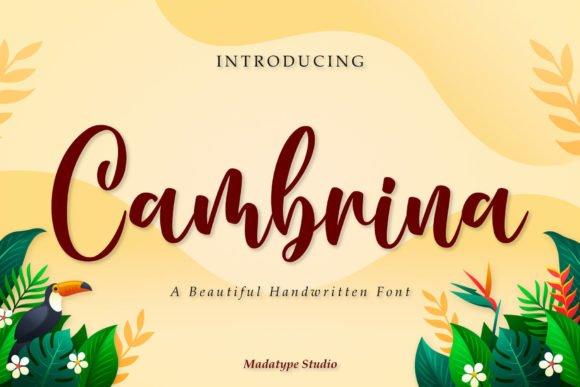 Cambrina Font - Featured Image
