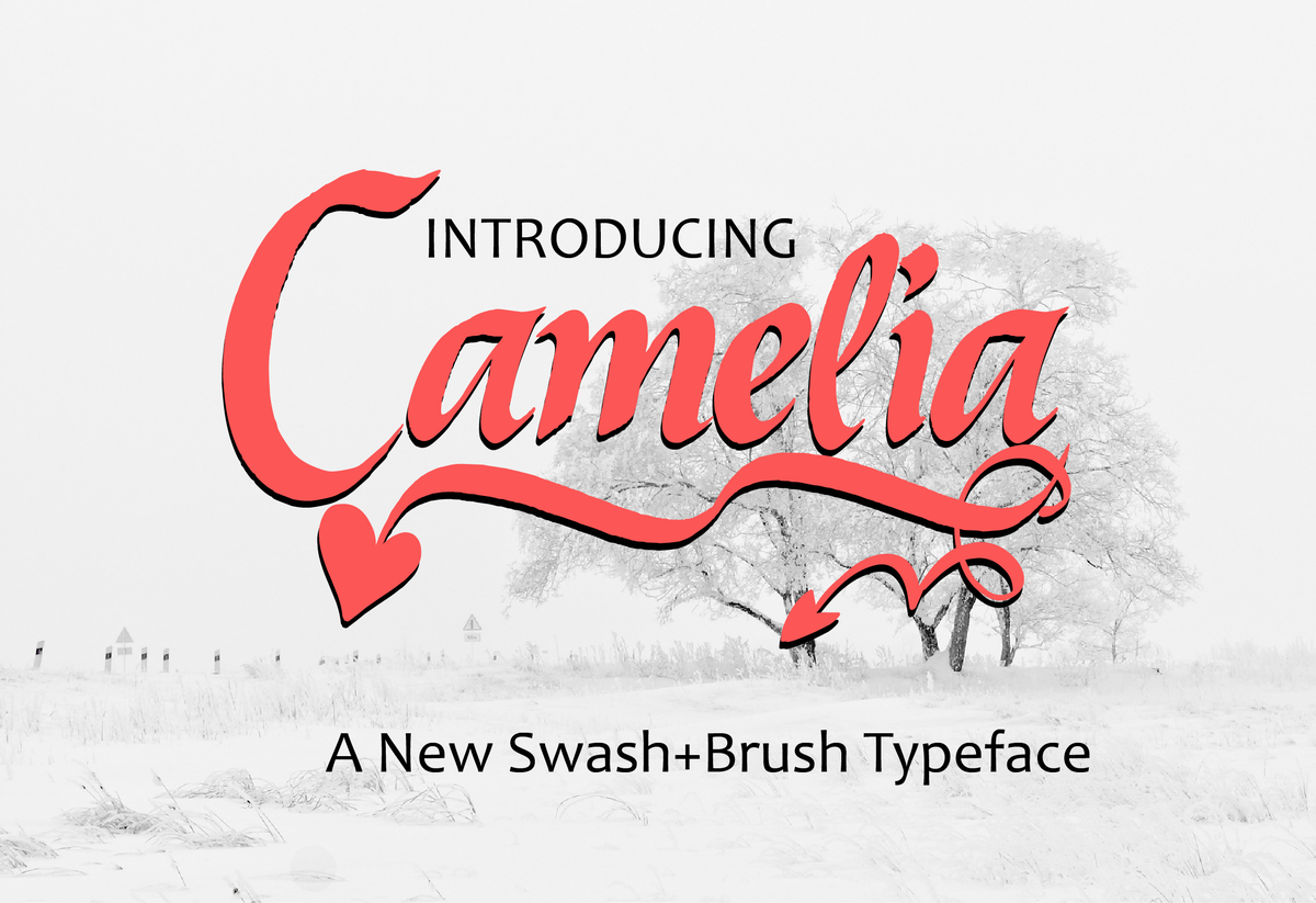 Camelia Font - Featured Image