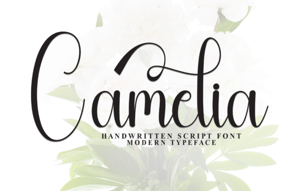 Camelia Font - Featured Image