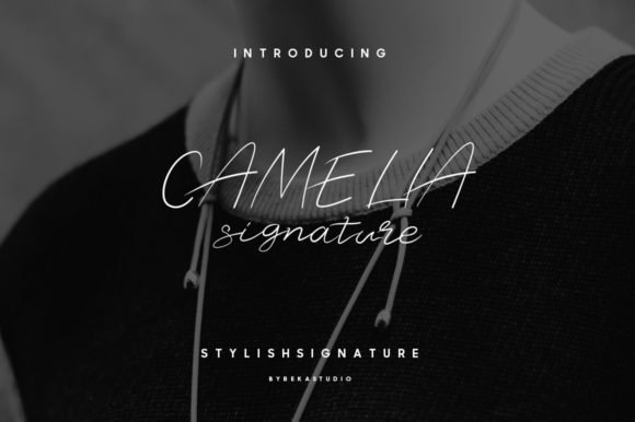 Camelia Stylish Signature Font - Featured Image