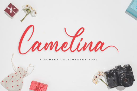 Camelina  Font - Featured Image