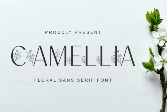 Camellia Font - Featured Image