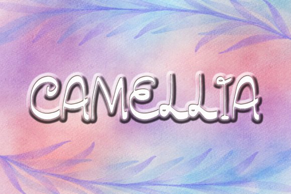Camellia Font - Featured Image