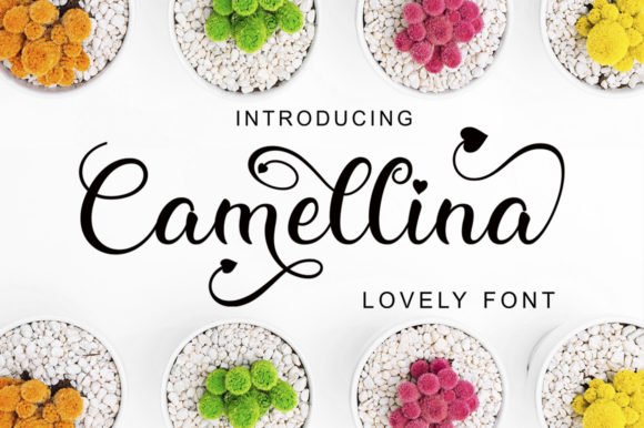 Camellina Script Font - Featured Image