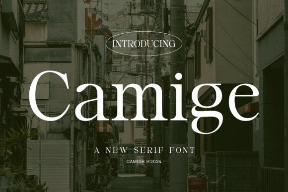 Camige Font - Featured Image