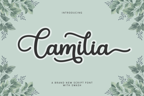 Camilia Font - Featured Image