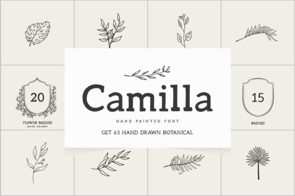Camilla Font - Featured Image