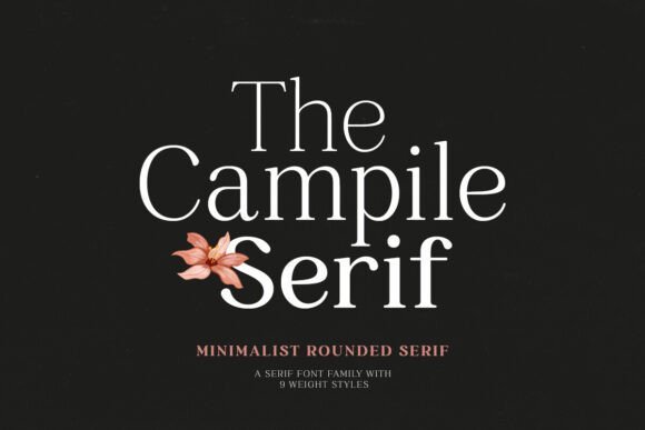 Campile Font - Featured Image