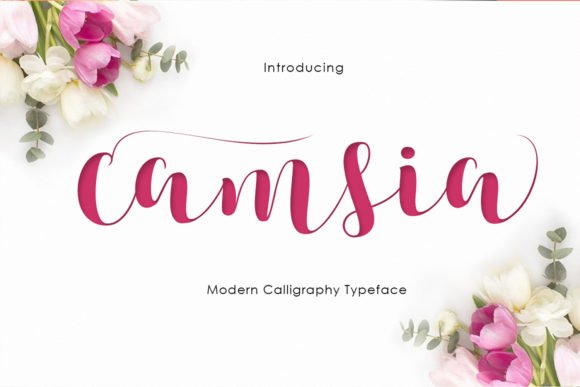 Camsia Font - Featured Image