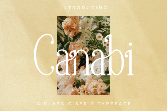 Canabi Font - Featured Image