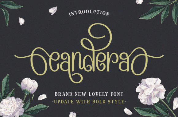Candera Font - Featured Image