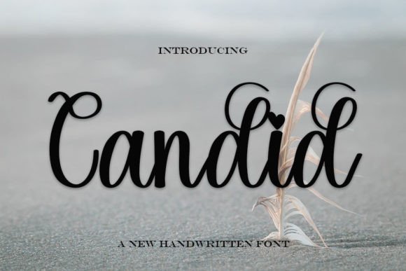 Candid Font - Featured Image