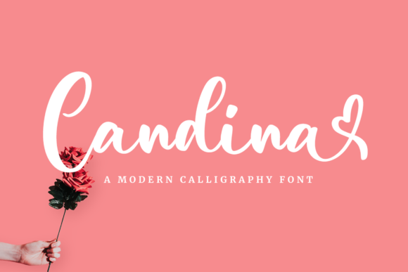 Candina Font - Featured Image
