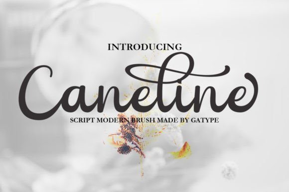 Caneline Font - Featured Image