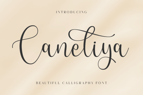 Caneliya Font - Featured Image