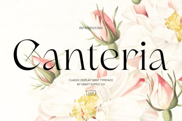 Canteria Font - Featured Image