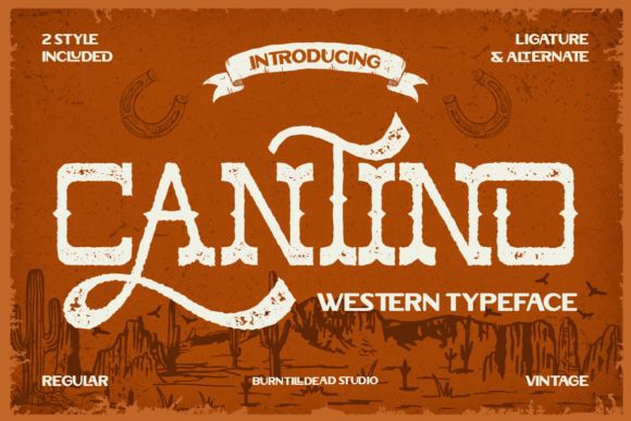 Cantino Font - Featured Image