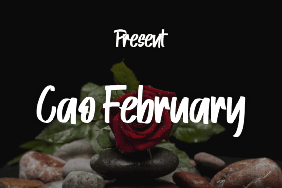 Cao February Font - Featured Image