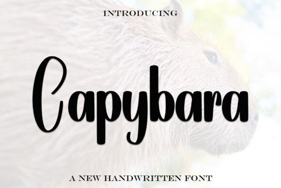 Capybara Font - Featured Image