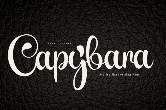 Capybara Font - Featured Image