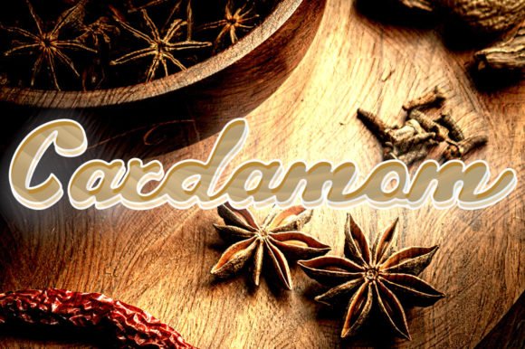 Cardamom Font - Featured Image
