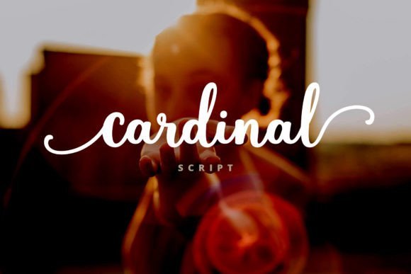 Cardinal Font - Featured Image