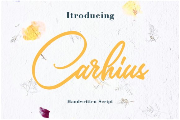 Carhius Font - Featured Image
