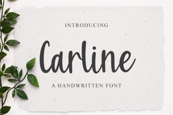 Carline Font - Featured Image
