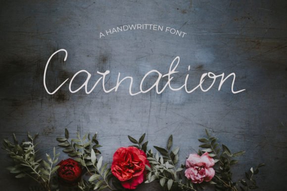 Carnation Font - Featured Image