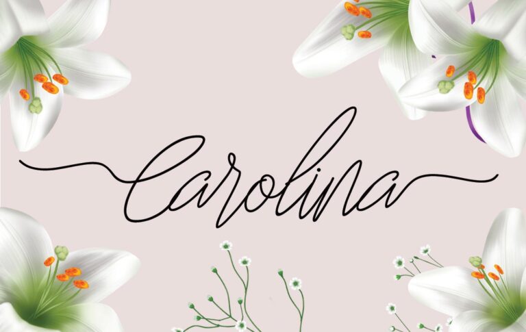 Carolina Font - Featured Image