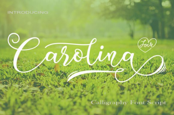 Carolina Font - Featured Image
