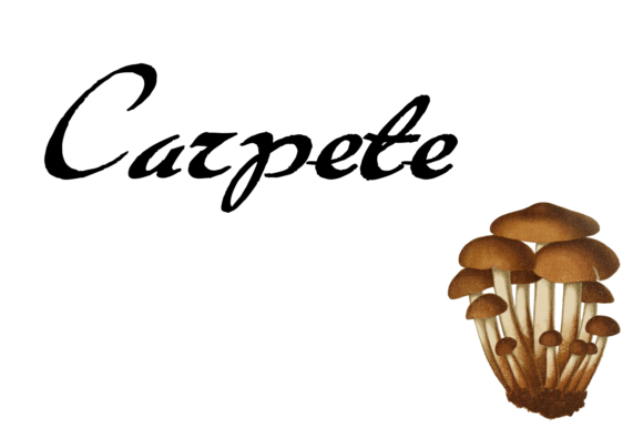 Carpete Font - Featured Image