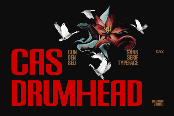 Cas Drumhead Font - Featured Image
