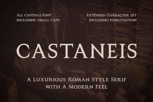 Castaneis Font - Featured Image