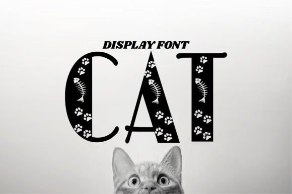Cat Font - Featured Image