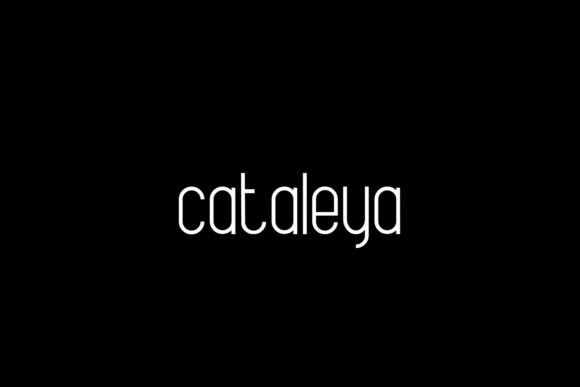 Cataleya Font - Featured Image