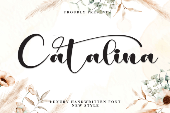 Catalina Font - Featured Image
