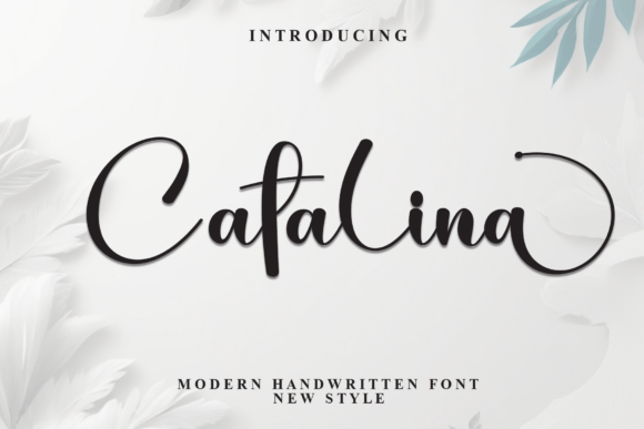 Catalina Font - Featured Image