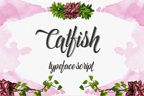 Catfish Font - Featured Image
