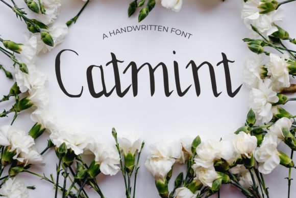 Catmint Font - Featured Image