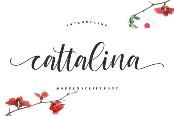 Cattalina Font - Featured Image