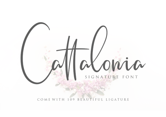 Cattalonia Font - Featured Image
