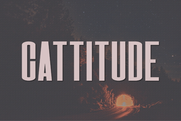 Cattitude Font - Featured Image