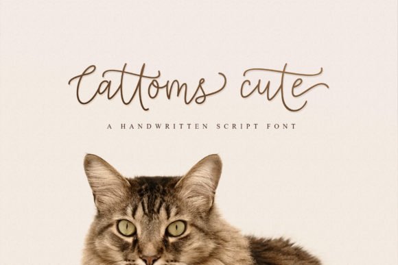 Cattoms Cute Font - Featured Image