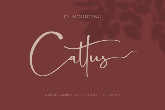 Cattus Font - Featured Image