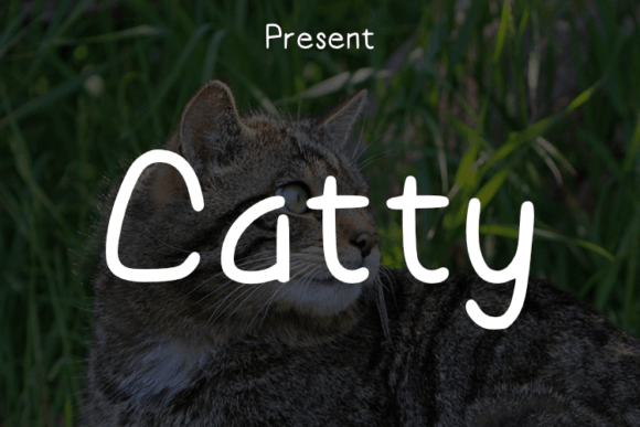 Catty Font - Featured Image