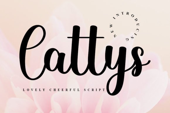 Cattys Font - Featured Image