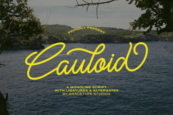 Cauloid Font - Featured Image